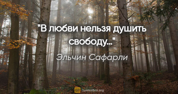 Эльчин Сафарли цитата: "В любви нельзя душить свободу…"