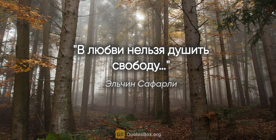 Эльчин Сафарли цитата: "В любви нельзя душить свободу…"