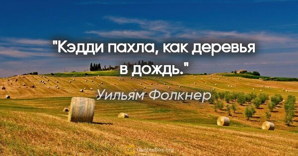 Уильям Фолкнер цитата: "Кэдди пахла, как деревья в дождь."