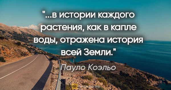 Пауло Коэльо цитата: "в истории каждого растения, как в капле воды, отражена история..."