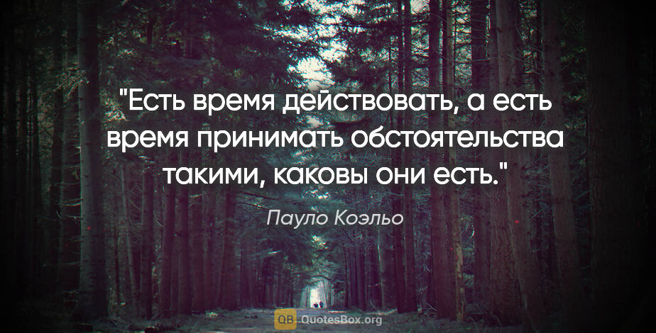 Пауло Коэльо цитата: "Есть время действовать, а есть время принимать обстоятельства..."