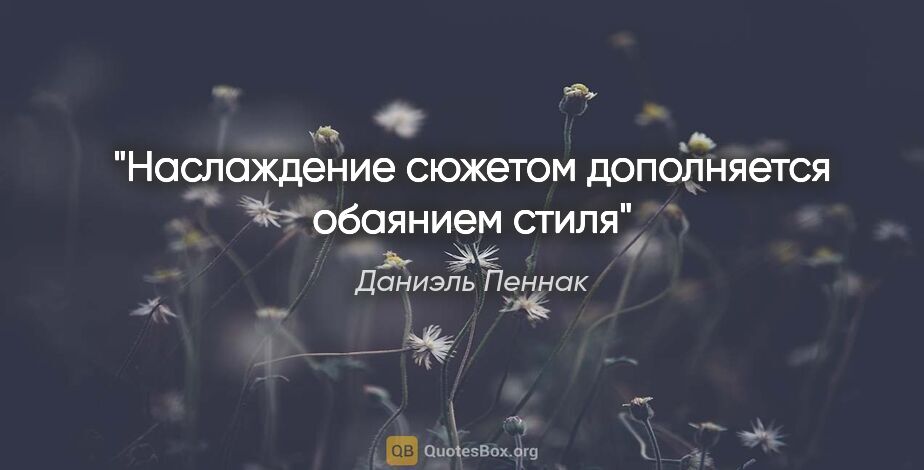 Даниэль Пеннак цитата: "Наслаждение сюжетом дополняется обаянием стиля"