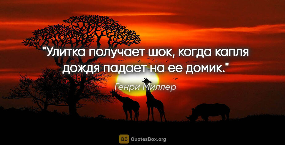 Генри Миллер цитата: "Улитка получает шок, когда капля дождя падает на ее домик."