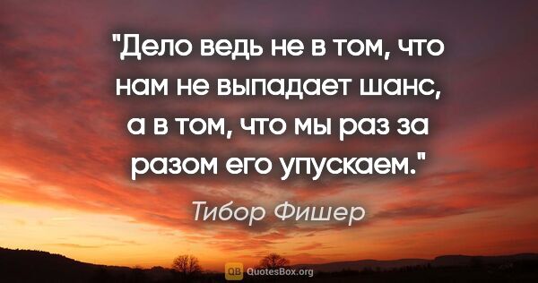 Тибор Фишер цитата: "Дело ведь не в том, что нам не выпадает шанс, а в том, что мы..."