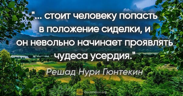 Решад Нури Гюнтекин цитата: " стоит человеку попасть в положение сиделки, и он невольно..."