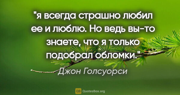 Джон Голсуорси цитата: "я всегда страшно любил ее и люблю. Но ведь вы-то знаете, что я..."