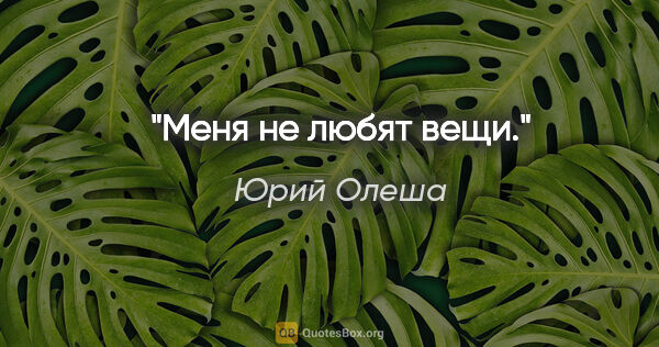 Юрий Олеша цитата: "Меня не любят вещи."