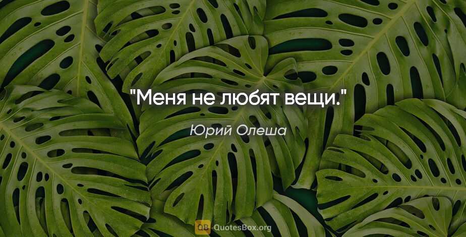 Юрий Олеша цитата: "Меня не любят вещи."