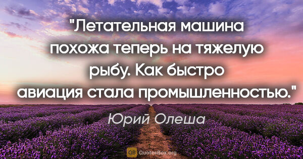 Юрий Олеша цитата: "Летательная машина похожа теперь на тяжелую рыбу. Как быстро..."