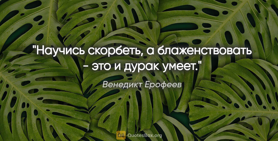Венедикт Ерофеев цитата: "Научись скорбеть, а блаженствовать - это и дурак умеет."