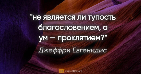 Джеффри Евгенидис цитата: "не является ли тупость благословением, а ум — проклятием?"