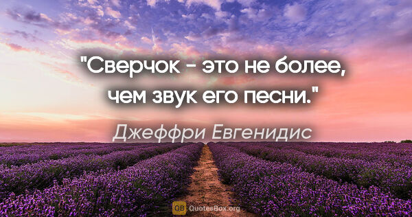 Джеффри Евгенидис цитата: "Сверчок - это не более, чем звук его песни."