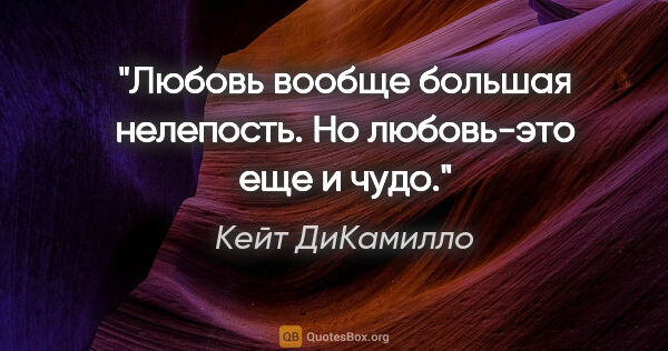 Кейт ДиКамилло цитата: "Любовь вообще большая нелепость. Но любовь-это еще и чудо."