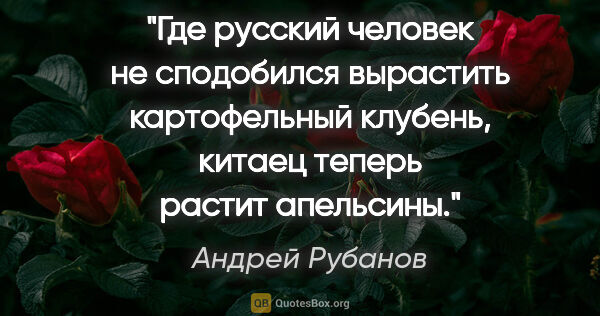 Андрей Рубанов цитата: "Где русский человек не сподобился вырастить картофельный..."