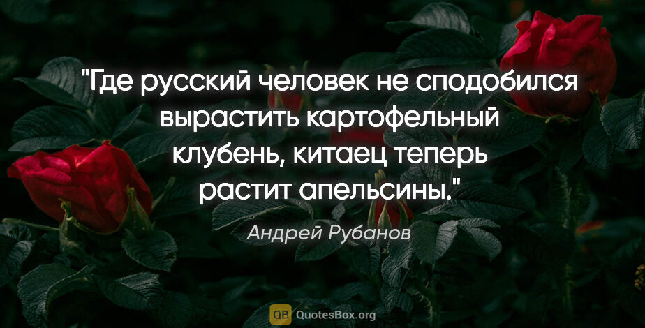 Андрей Рубанов цитата: "Где русский человек не сподобился вырастить картофельный..."