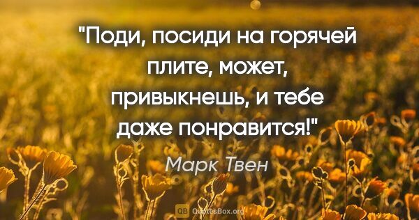 Марк Твен цитата: "Поди, посиди на горячей плите, может, привыкнешь, и тебе даже..."