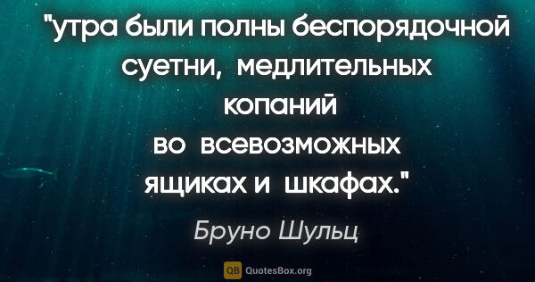 Бруно Шульц цитата: "утра были полны беспорядочной суетни,  медлительных  копаний ..."