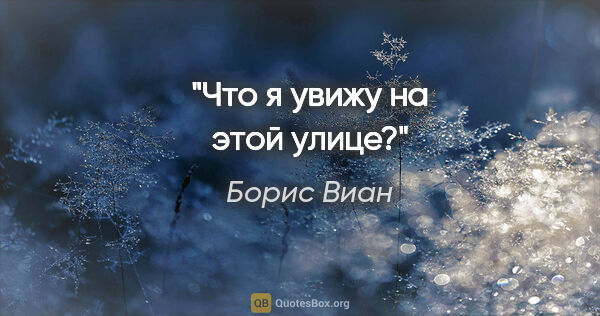 Борис Виан цитата: "Что я увижу на этой улице?"