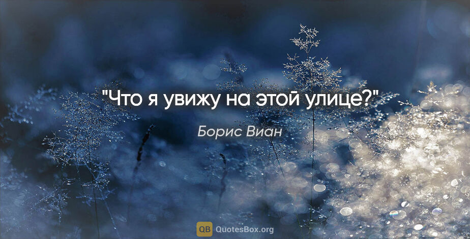 Борис Виан цитата: "Что я увижу на этой улице?"