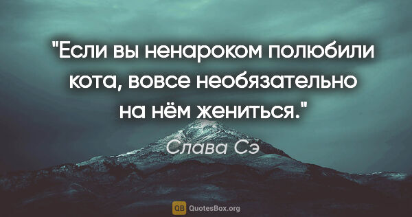 Слава Сэ цитата: "Если вы ненароком полюбили кота, вовсе необязательно на нём..."