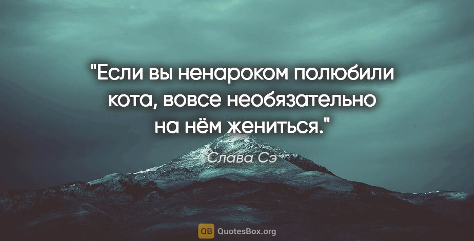 Слава Сэ цитата: "Если вы ненароком полюбили кота, вовсе необязательно на нём..."