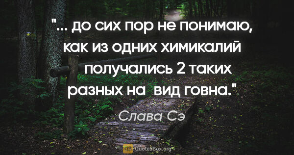 Слава Сэ цитата: " до сих пор не понимаю, как из одних химикалий    получались 2..."