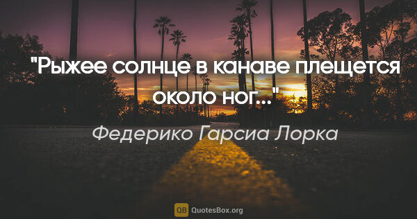 Федерико Гарсиа Лорка цитата: "Рыжее солнце в канаве

плещется около ног..."