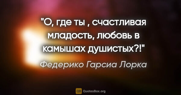 Федерико Гарсиа Лорка цитата: "О, где ты , счастливая младость,

любовь в камышах душистых?!"