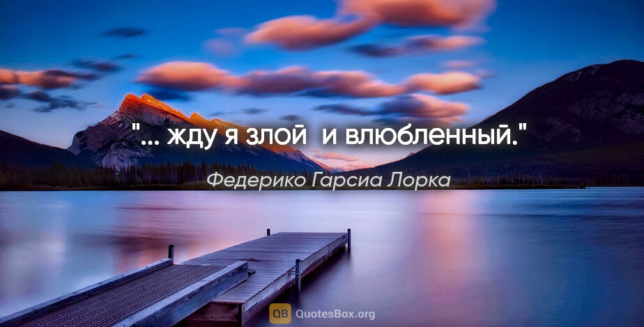 Федерико Гарсиа Лорка цитата: "... жду я злой 

и влюбленный."