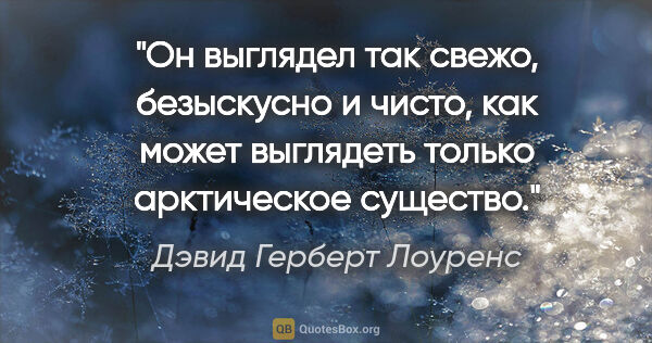 Дэвид Герберт Лоуренс цитата: "Он выглядел так свежо, безыскусно и чисто, как может выглядеть..."