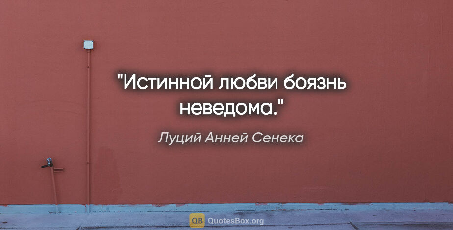 Луций Анней Сенека цитата: "Истинной любви боязнь неведома."