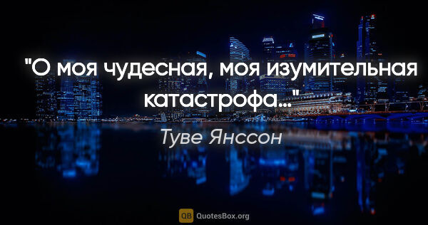 Туве Янссон цитата: "О моя чудесная, моя изумительная катастрофа…"