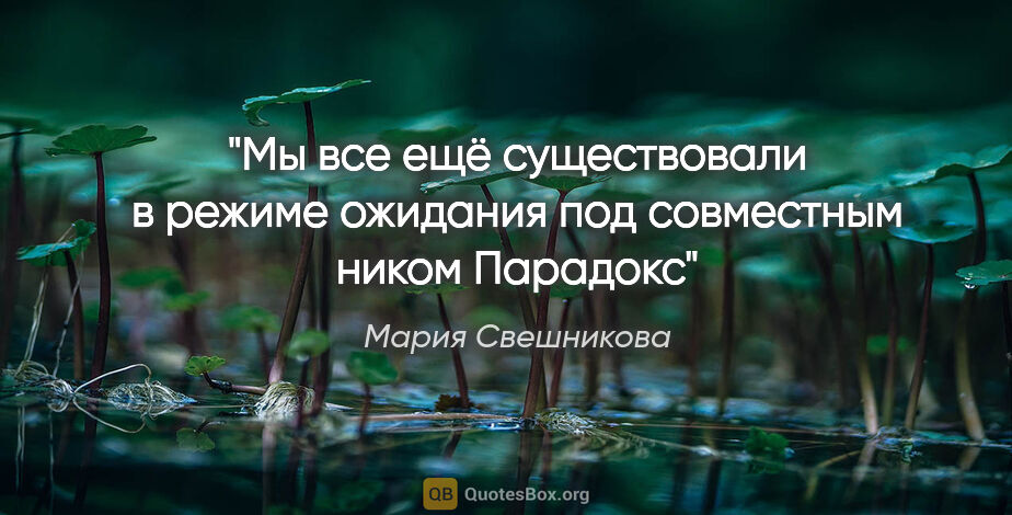 Мария Свешникова цитата: "Мы все ещё существовали в режиме ожидания под совместным ником..."