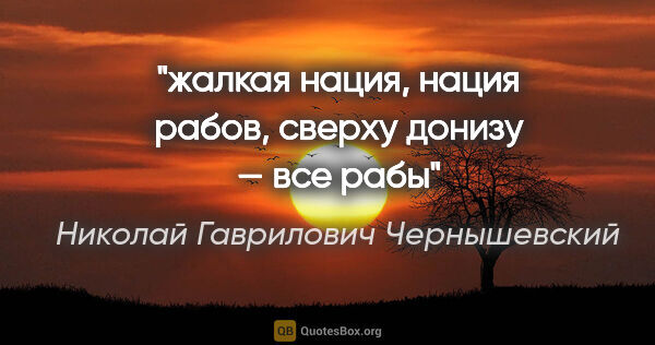 Николай Гаврилович Чернышевский цитата: "жалкая нация, нация рабов, сверху донизу — все рабы"