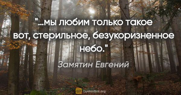Замятин Евгений цитата: "…мы любим только такое вот, стерильное, безукоризненное небо."