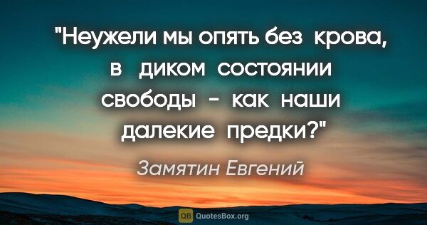 Замятин Евгений цитата: "Неужели мы опять без  крова, в   диком  состоянии свободы  - ..."