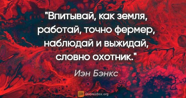 Иэн Бэнкс цитата: "Впитывай, как земля, работай, точно фермер, наблюдай и..."