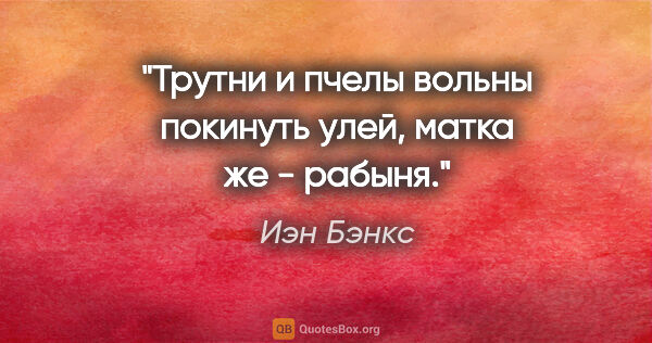 Иэн Бэнкс цитата: "Трутни и пчелы вольны покинуть улей, матка же - рабыня."