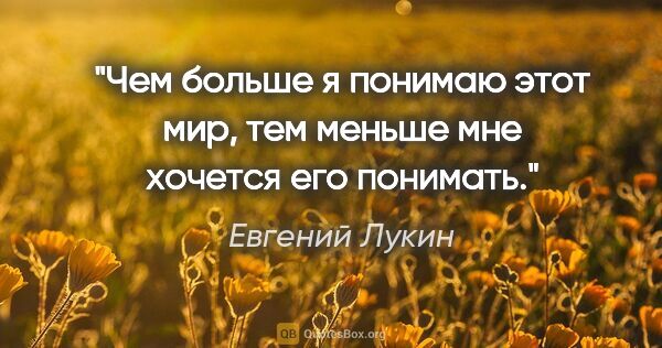 Евгений Лукин цитата: "Чем больше я понимаю этот мир, тем меньше мне хочется его..."