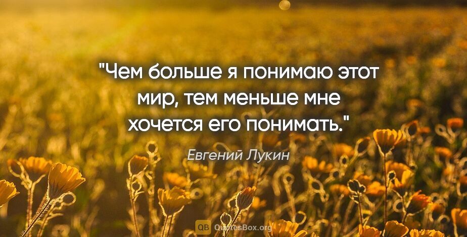 Евгений Лукин цитата: "Чем больше я понимаю этот мир, тем меньше мне хочется его..."