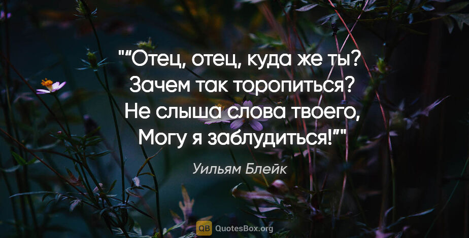 Уильям Блейк цитата: "“Отец, отец, куда же ты? 

Зачем так торопиться? 

Не слыша..."