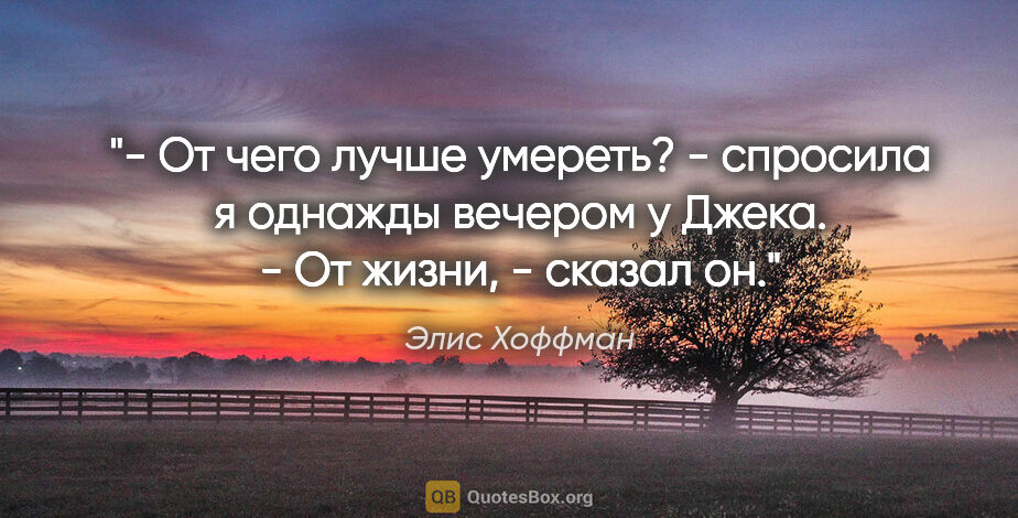 Элис Хоффман цитата: "- От чего лучше умереть? - спросила я однажды вечером у..."