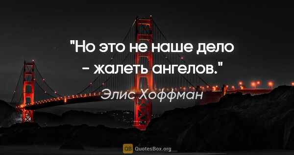 Элис Хоффман цитата: "Но это не наше дело - жалеть ангелов."