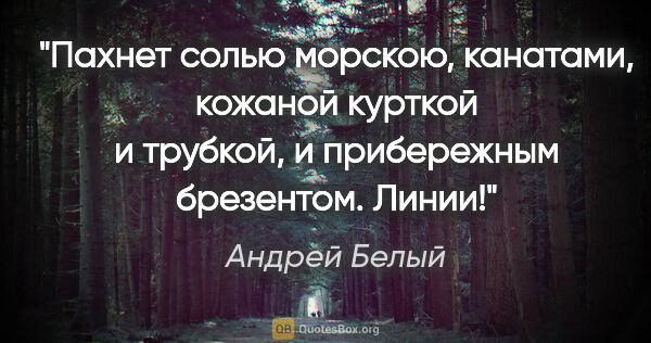 Андрей Белый цитата: "Пахнет солью морскою, канатами, кожаной курткой и трубкой, и..."