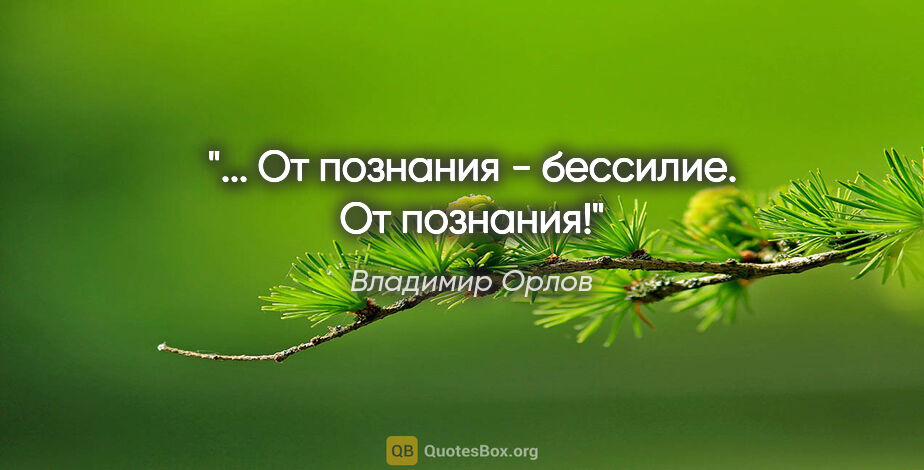 Владимир Орлов цитата: "... От познания - бессилие. От познания!"