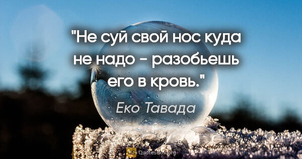 Еко Тавада цитата: "Не суй свой нос куда не надо - разобьешь его в кровь."