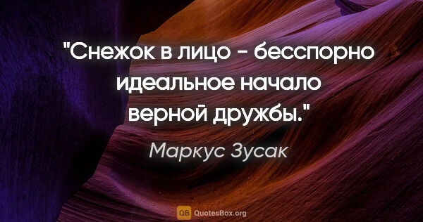 Маркус Зусак цитата: "Снежок в лицо - бесспорно идеальное начало верной дружбы."