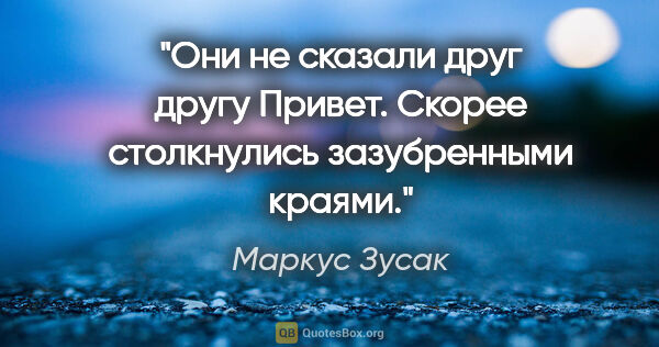 Маркус Зусак цитата: "Они не сказали друг другу "Привет". Скорее столкнулись..."