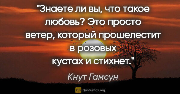 Кнут Гамсун цитата: "Знаете ли вы, что такое любовь? Это просто ветер, который..."