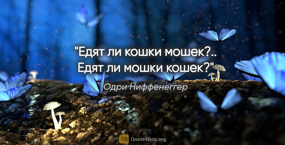 Одри Ниффенеггер цитата: "Едят ли кошки мошек?.. Едят ли мошки кошек?"